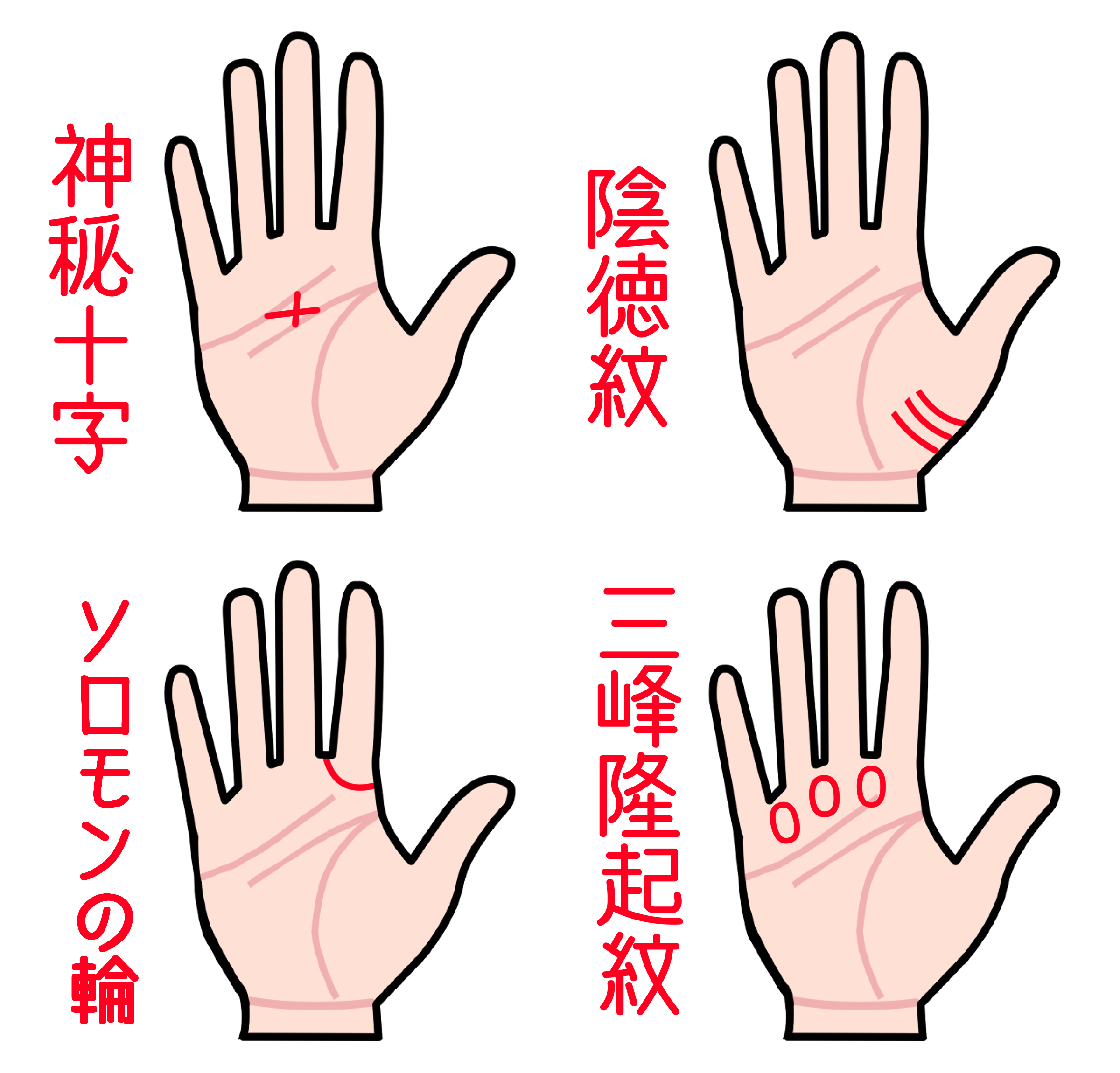 7. お問い合わせ・アクセス